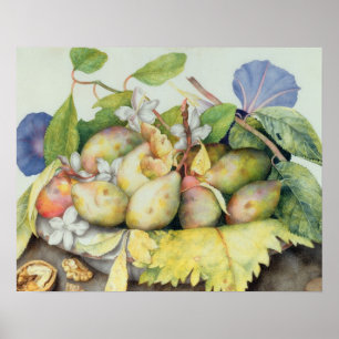 Still life with Plums, Walnuts and Jasmine (w/c on Poster
