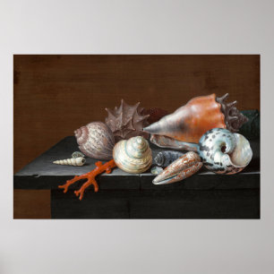Still Life with Shells Johann Jakob Dietzsch Poster