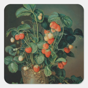 Still life with strawberries square sticker