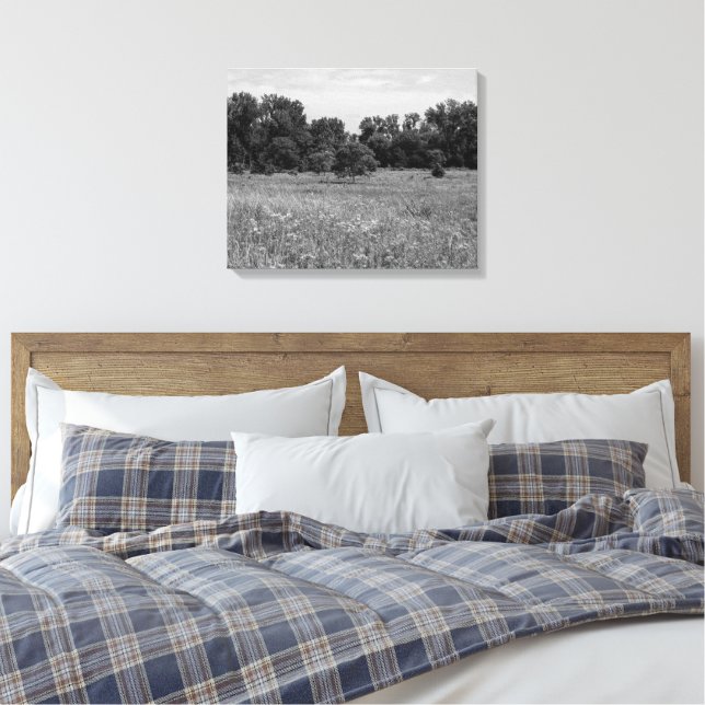 Still Prairie, Cloudy Sky Canvas Print (Insitu(Bedroom))