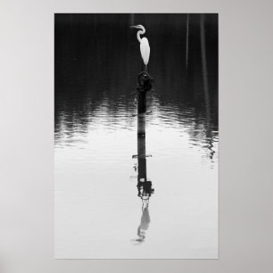 Still Reflection Poster