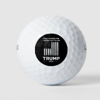 Still Voting for Convicted Felon Trump 2024 