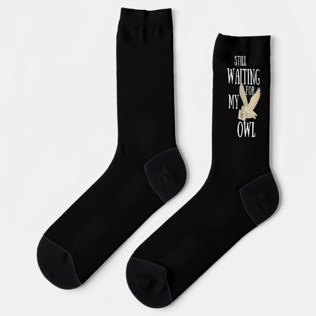 Still waiting for my owl funny magic school letter socks (Left)