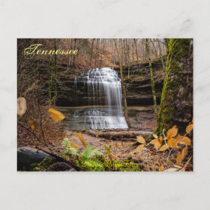 Stillhouse Falls Postcard
