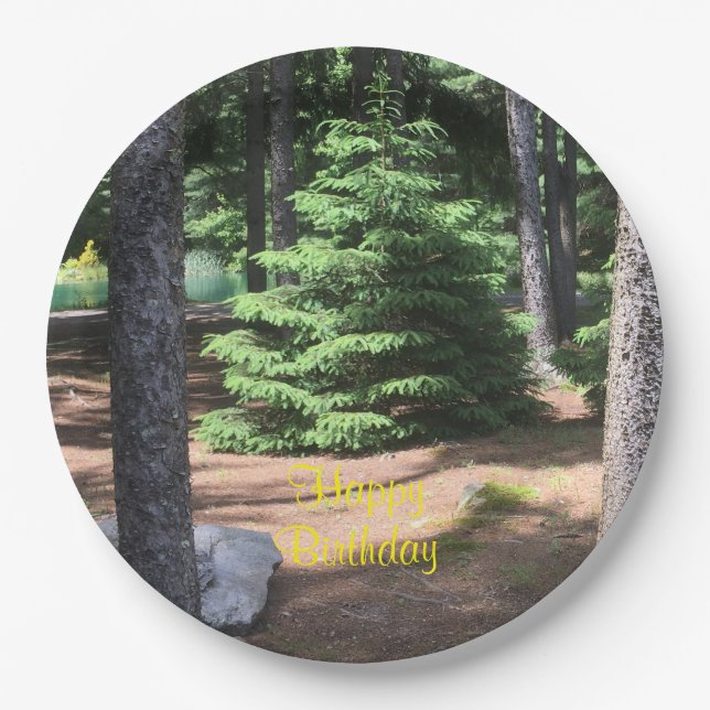 Stillness In The Forest Paper Plate (Front)