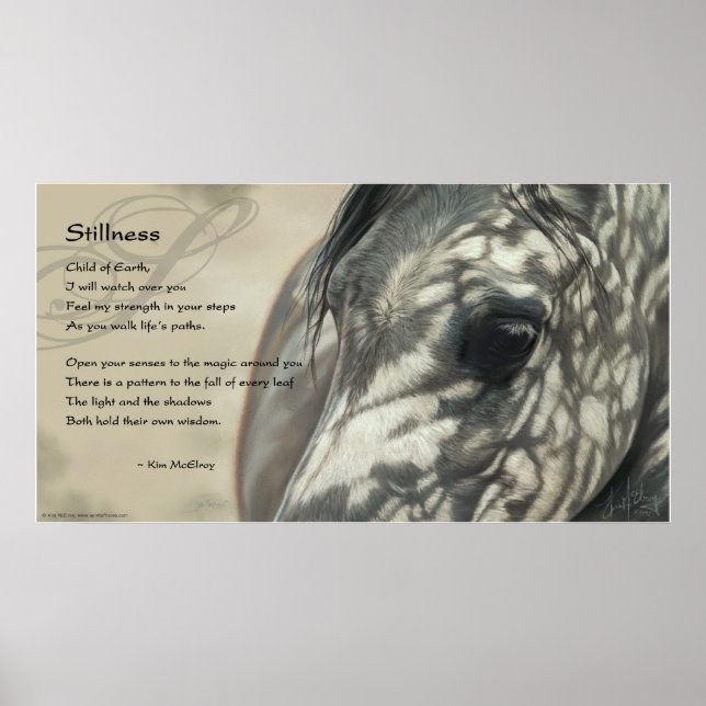 Stillness Inspiration Poster (Front)