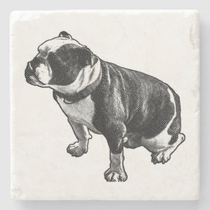 Stillness With Substance Stone Coaster