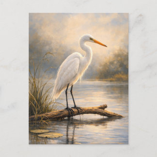 Stillwater Egret | Coastal Wildlife | Postcard