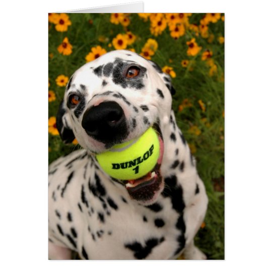Sting having a ball card