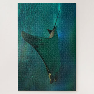 Sting Ray in an Aquarium. Jigsaw Puzzle