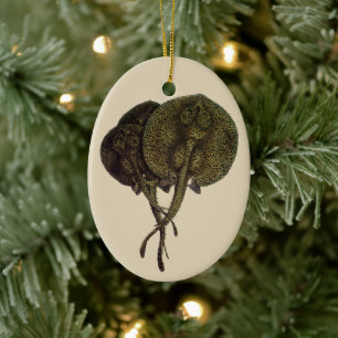 Sting Rays Stingrays, Vintage Marine Life Animals Ceramic Tree Decoration