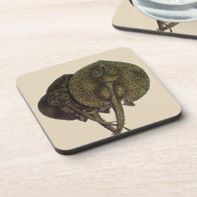 Sting Rays Stingrays, Vintage Marine Life Animals Coaster (Left Side)