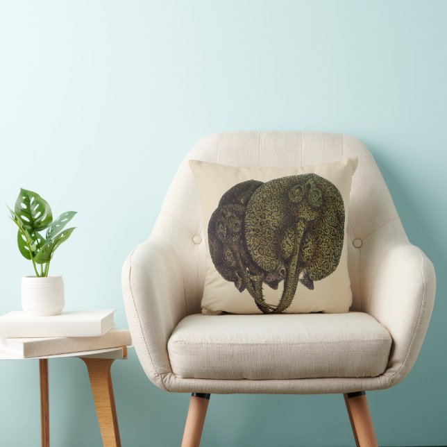 Sting Rays Stingrays, Vintage Marine Life Animals Cushion (Chair)