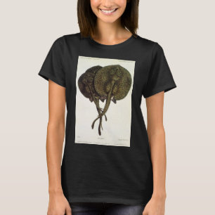Sting Rays Stingrays, Vintage Marine Life Animals T-Shirt