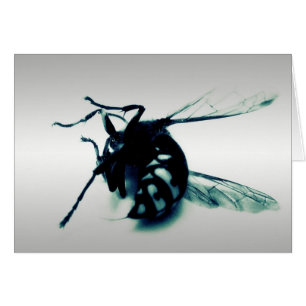 Stinger 8