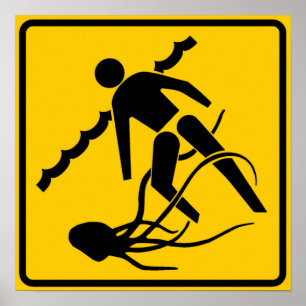 Stinging Marine Life Warning Sign, Australia Poster