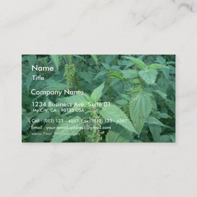 Stinging Nettles Business Card (Front)