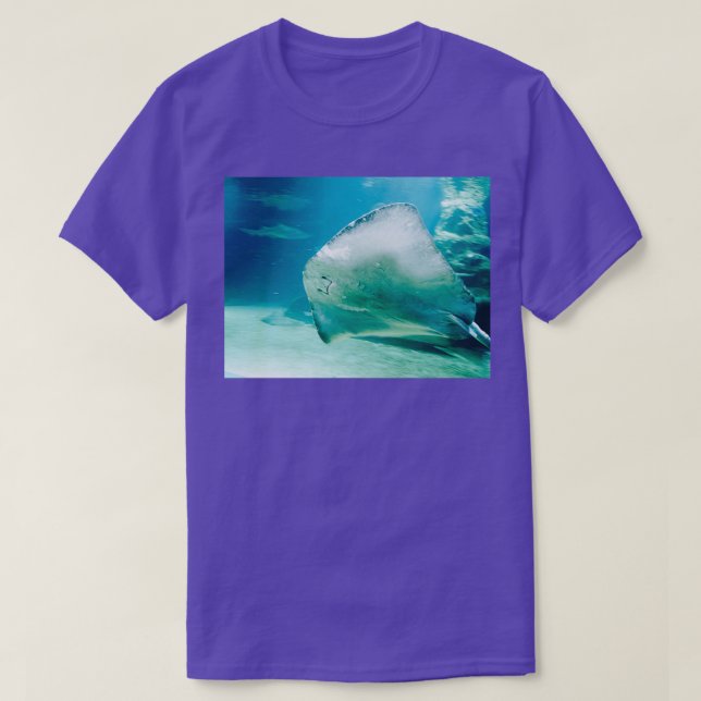 Stingray 1 T-Shirt (Design Front)