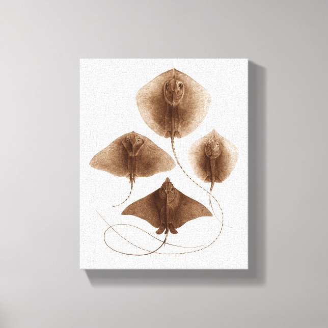 Stingray #2 Wrapped Canvas Wall Art (Front)