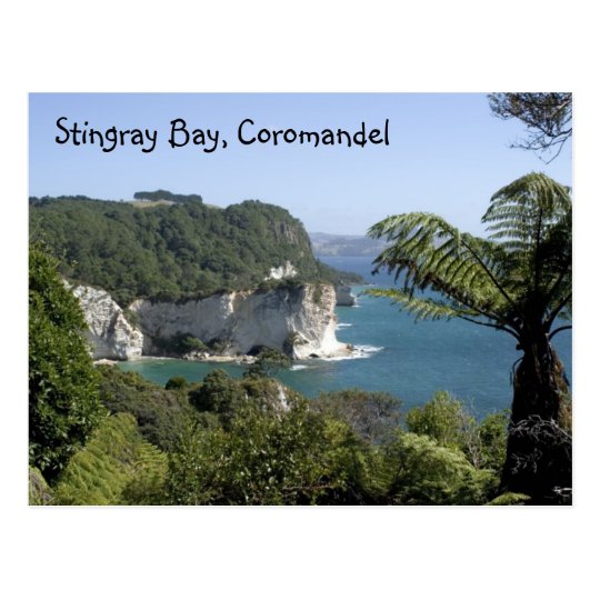 Stingray Bay, Coromandel Postcard