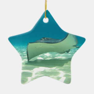 Stingray Ceramic Tree Decoration