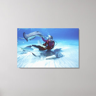 Stingray City, Grand Cayman, Cayman Islands, Canvas Print