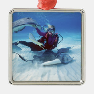 Stingray City, Grand Cayman, Cayman Islands, Metal Tree Decoration