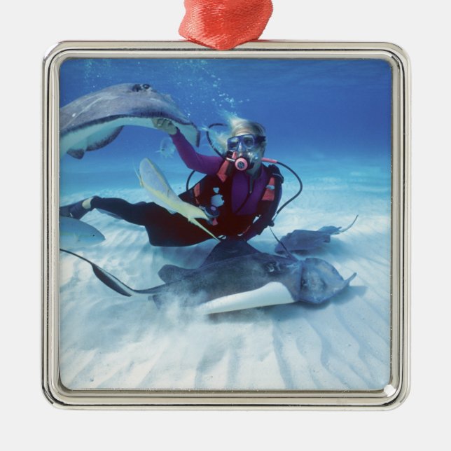 Stingray City, Grand Cayman, Cayman Islands, Metal Tree Decoration (Front)