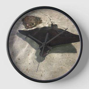 Stingray Clock
