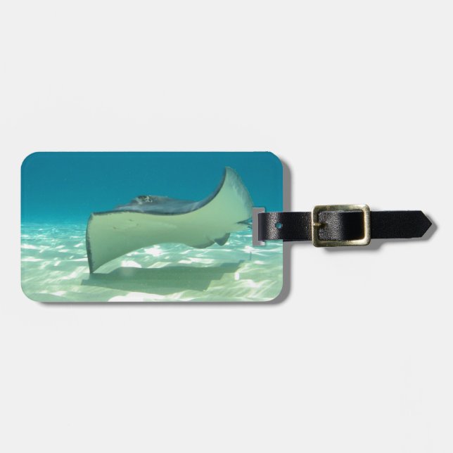 Stingray Luggage Tag (Front Horizontal)
