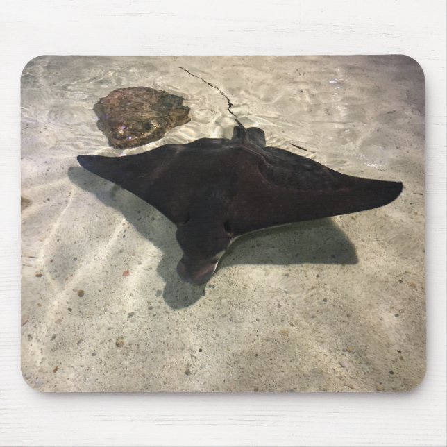 Stingray Mouse Mat (Front)