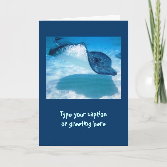 Stingray Note Cards (Front)