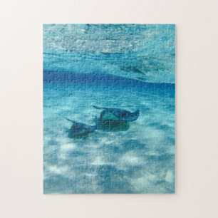 Stingray Ocean Blue Sea Photo Puzzle