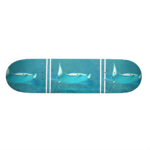 Stingray Skateboard