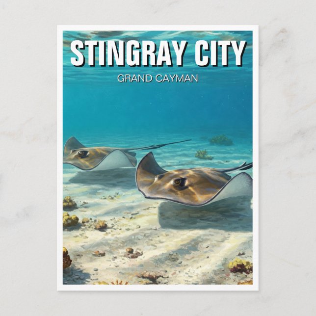 Stingrays in Grand Cayman Travel Postcard (Front)