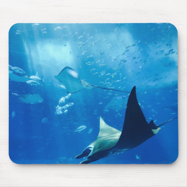 Stingrays Underwater Mouse Mat (Front)