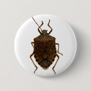 Stink Bug 6 Cm Round Badge