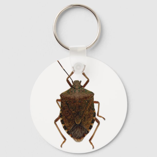 Stink Bug Key Ring (Front)