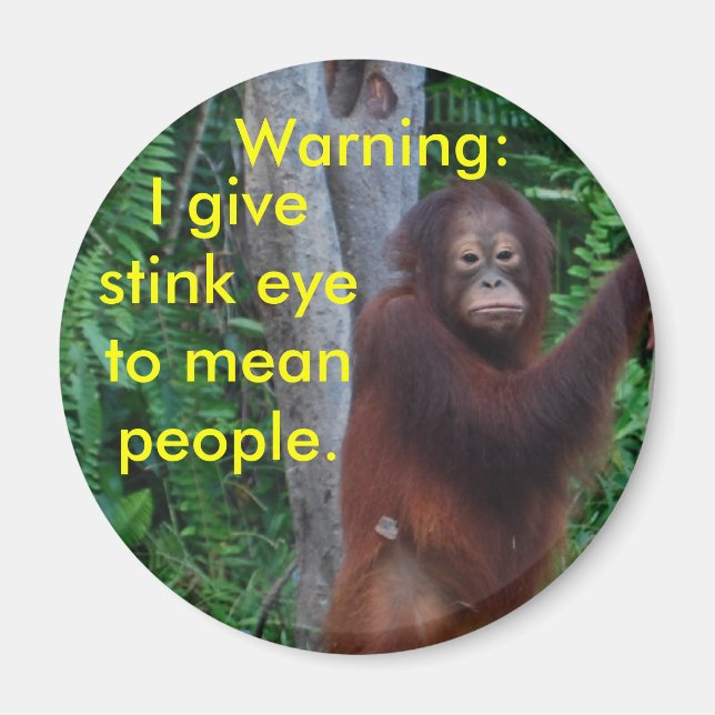 Stink Eye  buttons Magnet (Front)