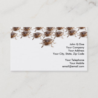 Stink or Shield bug for pest exterminator Business Card