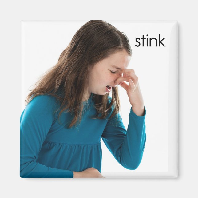 Stink Refrigerator Magnet (Front)