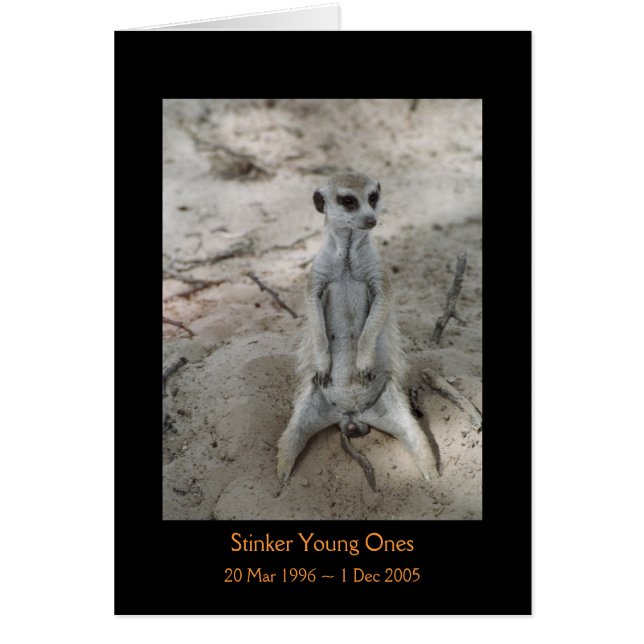 Stinker - Legends Card (Front)