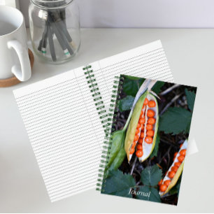 Stinking Iris Orange Berries Botanical Notebook