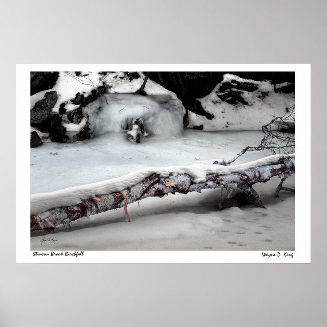 Stinson Brook Birchfall Poster (Front)