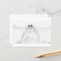 Stippled Chicken Postcard