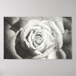 Stippled Rose Poster