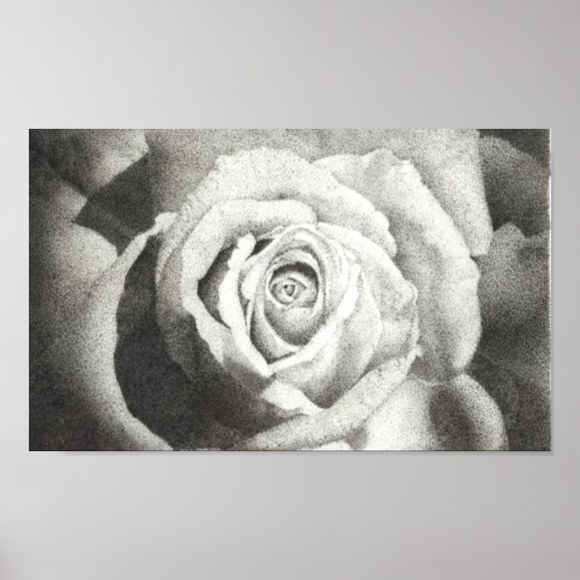 Stippled Rose Poster (Front)