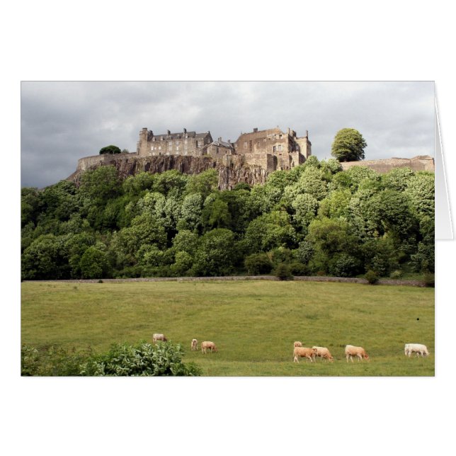 stirling castle sheep (Front Horizontal)