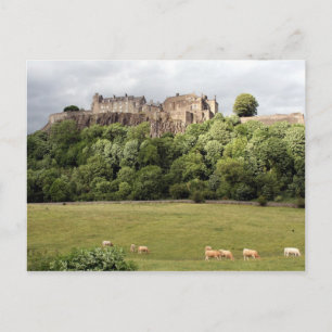 stirling castle sheep postcard