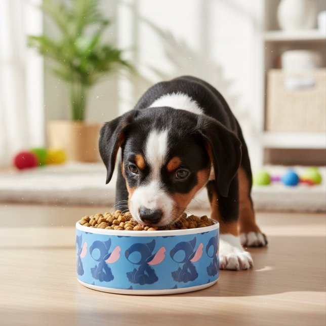 Stitch Bowl (Creator Uploaded)